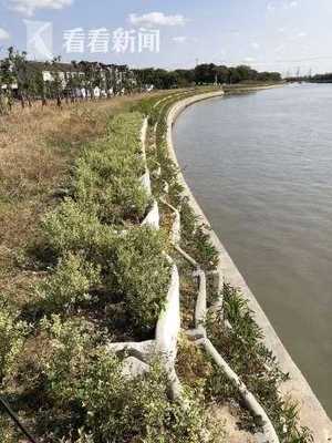 上海:32公里苏州河堤防加固改造竣工 打造个性化堤防